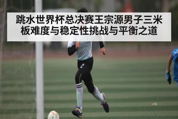 跳水世界杯总决赛王宗源男子三米板难度与稳定性挑战与平衡之道